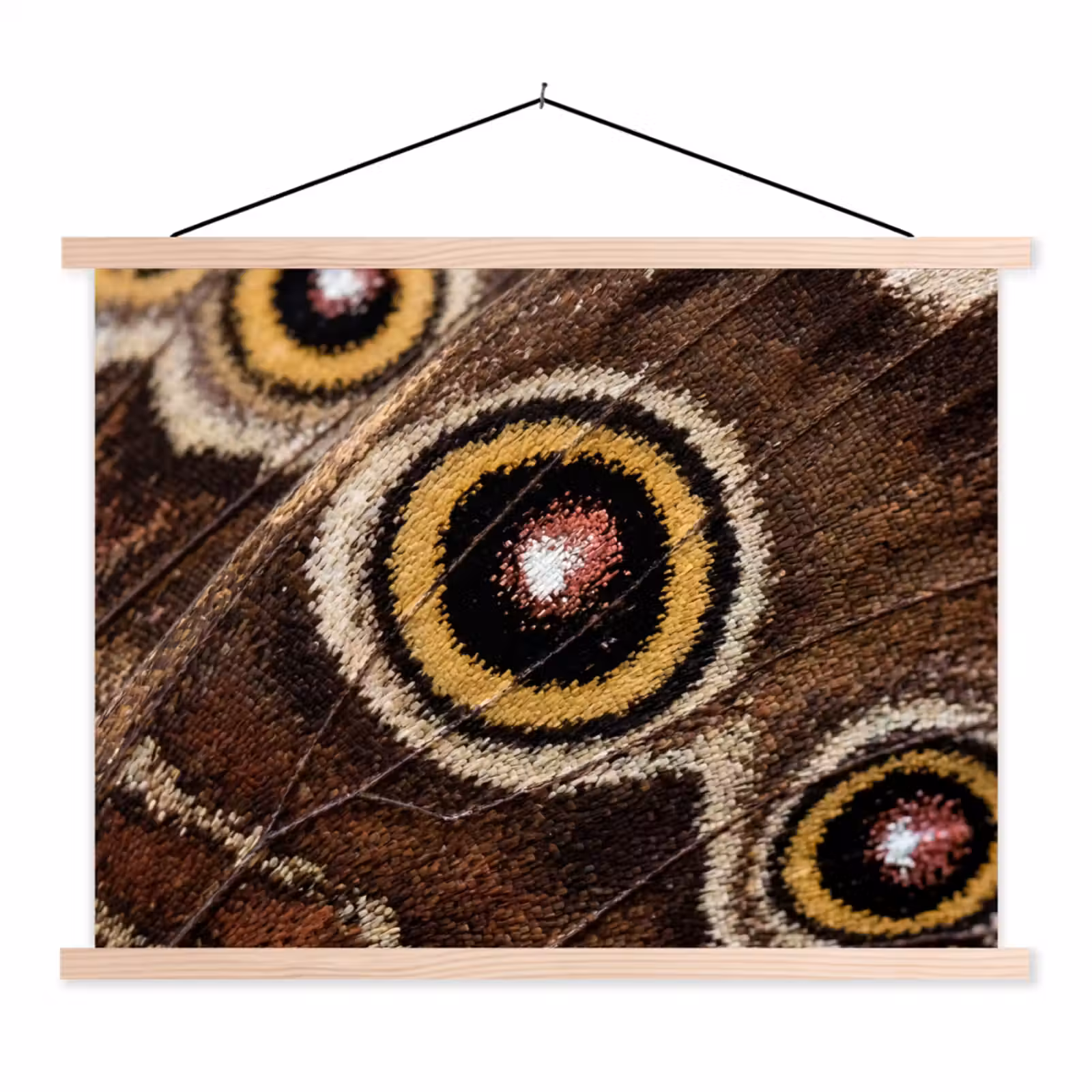 Schoolplaat - Vlinder - Vleugel - Abstract — 1