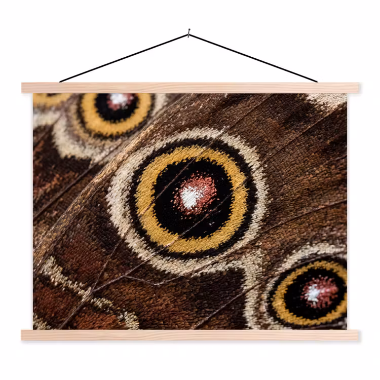 Schoolplaat - Vlinder - Vleugel - Abstract — 1