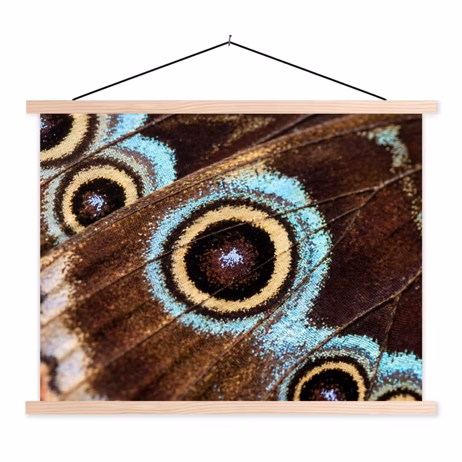 Schoolplaat - Vleugels - Vlinder - Blauw — 1