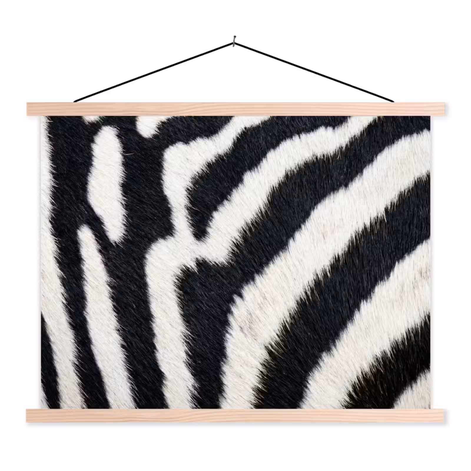 Schoolplaat - Zebra - Vacht - Klassiek - Zwart - Wit — 1