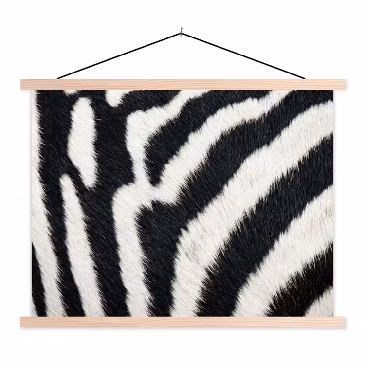 Schoolplaat - Zebra - Vacht - Klassiek - Zwart - Wit — 1