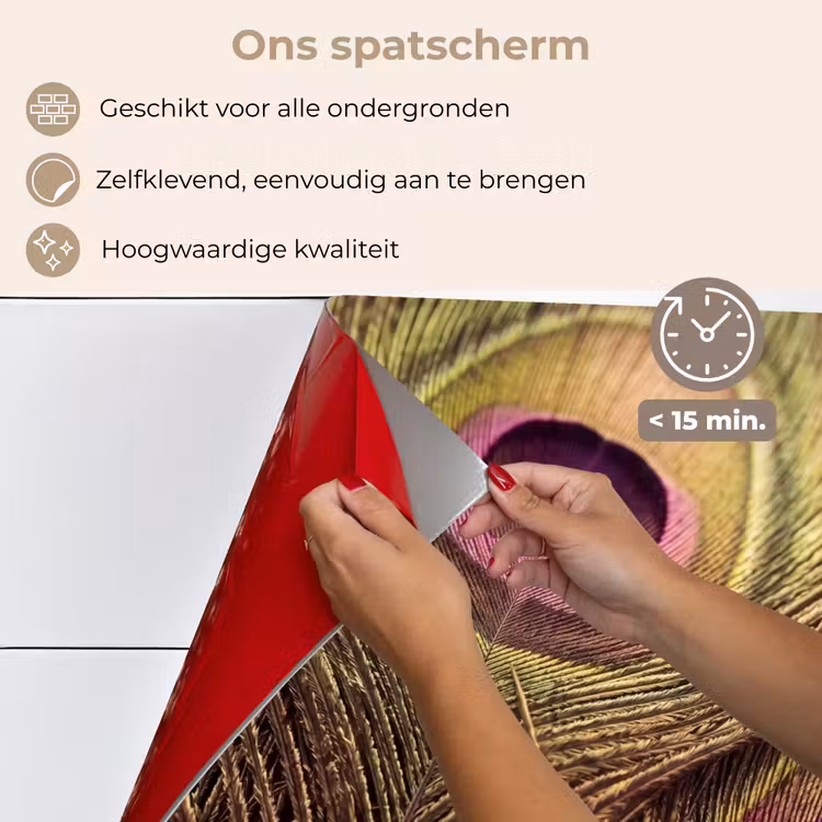 Spatscherm keuken - Pauw - Veren - Paars - Groen — 4