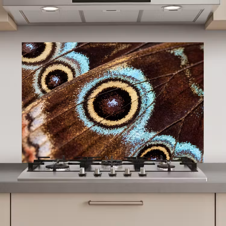 Spatscherm keuken - Vleugels - Vlinder - Blauw — 1