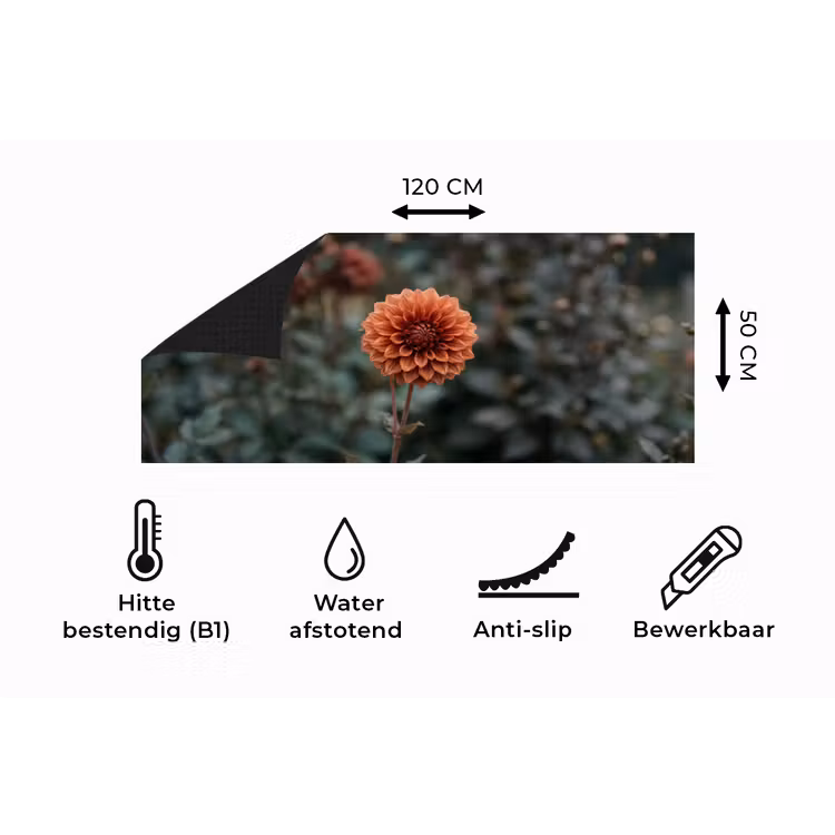 Keukenloper - Dahlia - Bloem - Natuur - Sfeervol — 5