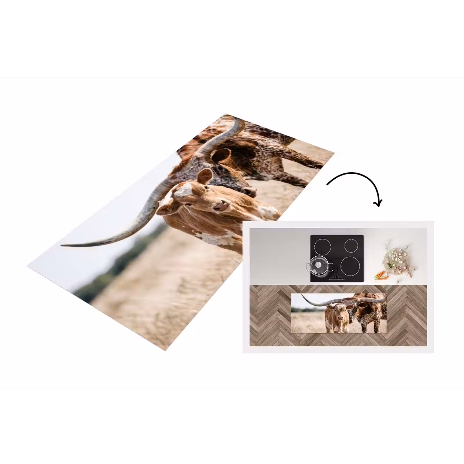 Keukenloper - Texas Longhorn - Kalf - Weide - Dieren — 1