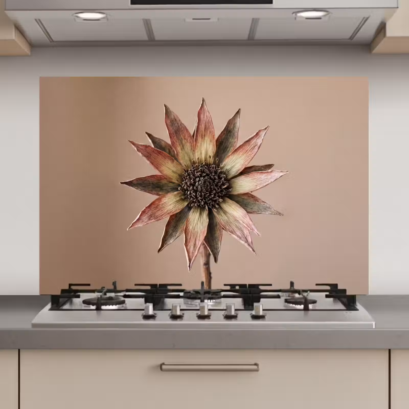 Spatscherm keuken - Droogbloem - Protea - Vintage - Beige - Rustiek — 1
