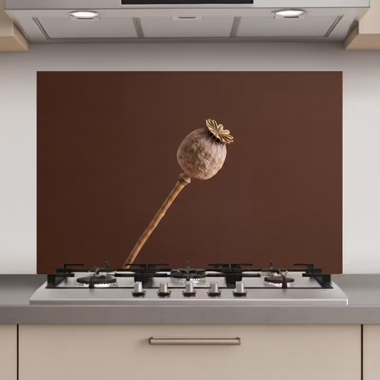 Spatscherm keuken - Papaverbol - Droogbloem - Bruin - Minimalistisch — 1