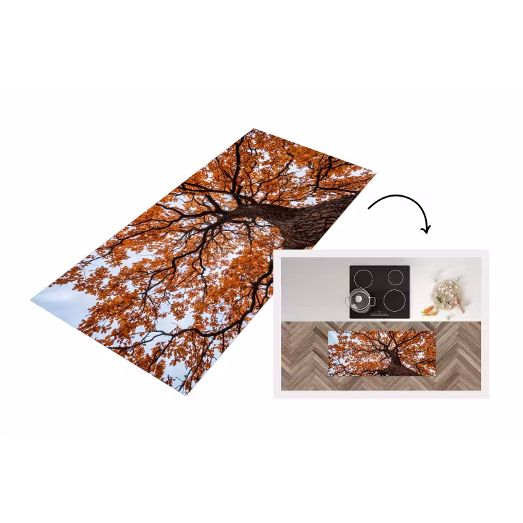 Keukenloper - Boom - Bladerdak - Herfst - Oranje - Sfeervol — 1