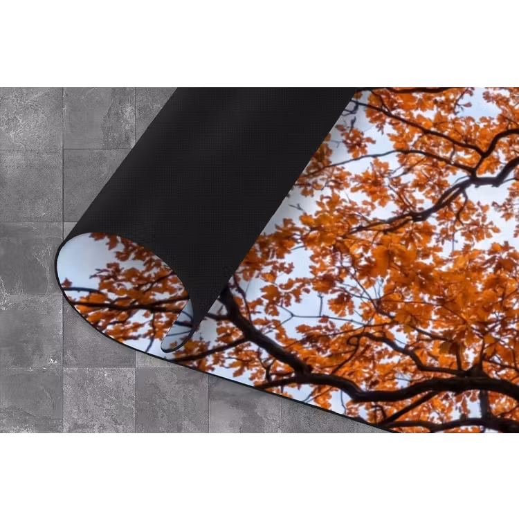 Keukenloper - Boom - Bladerdak - Herfst - Oranje - Sfeervol — 4