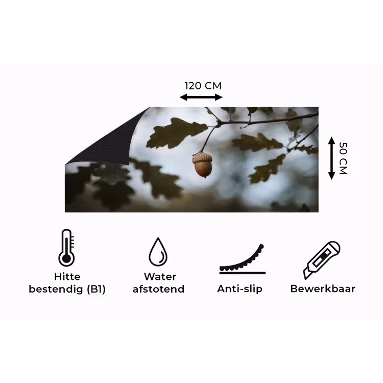 Keukenloper - Eikel - Eikenblad - Bos - Herfst - Natuur — 5