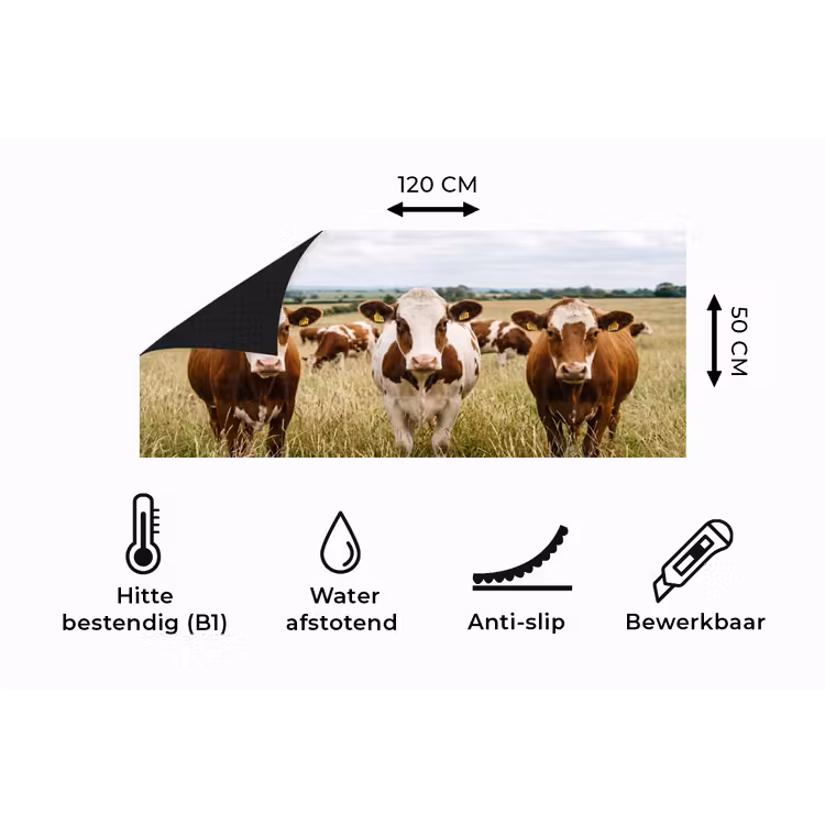 Keukenloper - Koeien - Portret - Weide - Boerderij - Nieuwsgierig — 5
