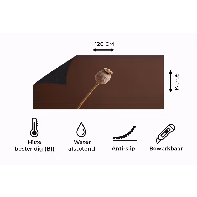 Keukenloper - Papaverbol - Droogbloem - Bruin - Minimalistisch — 5