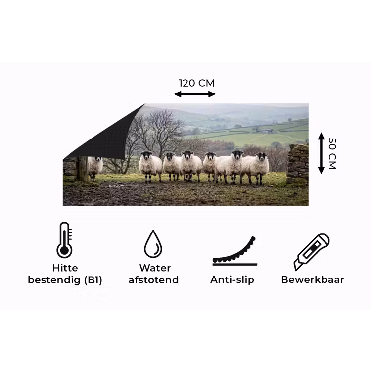 Keukenloper - Schapen - Rij - Weide - Dieren - Platteland — 5