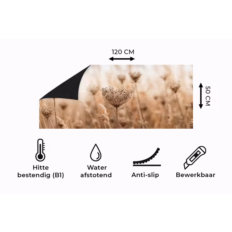 Keukenloper - Schermbloem - Droogbloem - Winter - Beige - Minimalistisch — 5