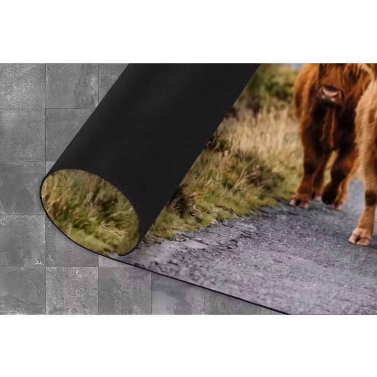 Keukenloper - Schotse Hooglanders - Weg - Landschap - Kudde — 4