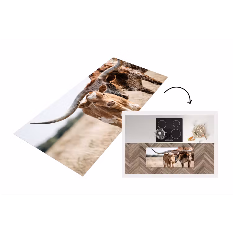 Keukenloper - Texas Longhorn - Kalf - Weide - Dieren — 1