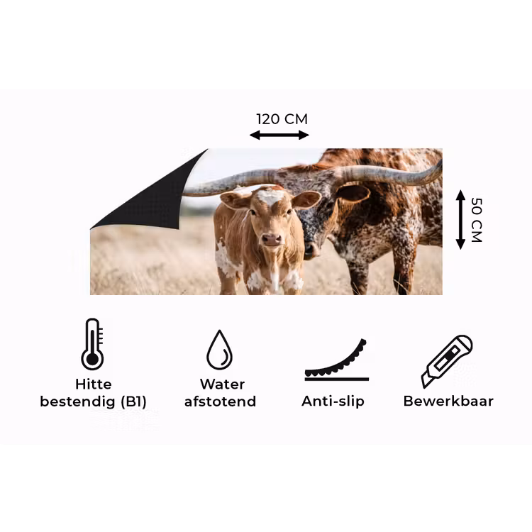 Keukenloper - Texas Longhorn - Kalf - Weide - Dieren — 5