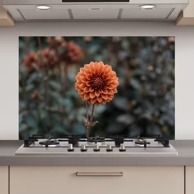 Spatscherm keuken - Dahlia - Bloem - Natuur - Sfeervol — 1