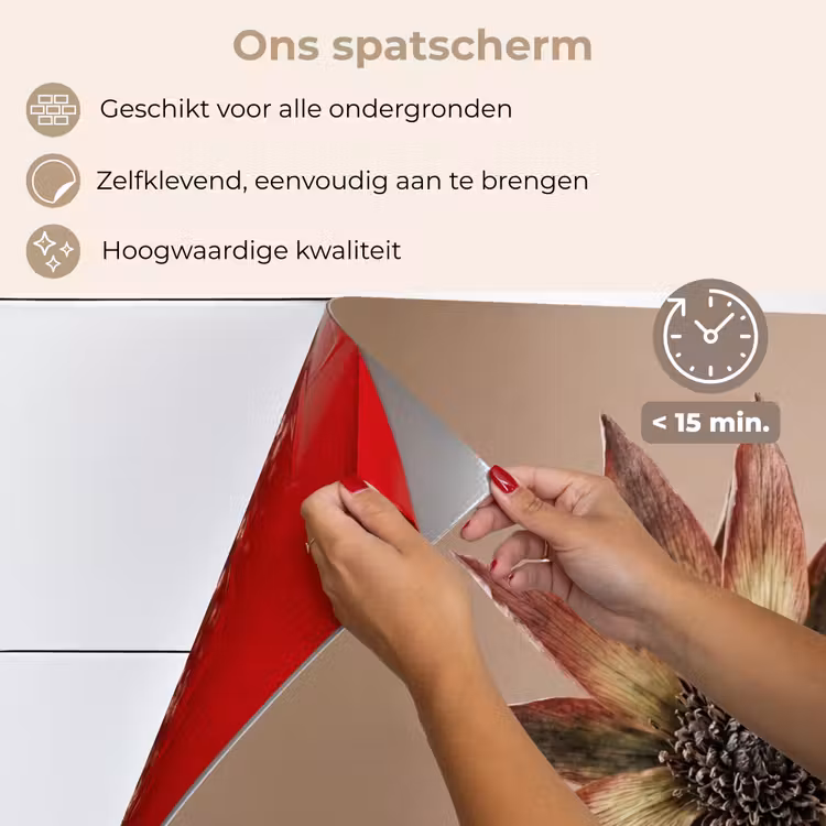 Spatscherm keuken - Droogbloem - Protea - Vintage - Beige - Rustiek — 4