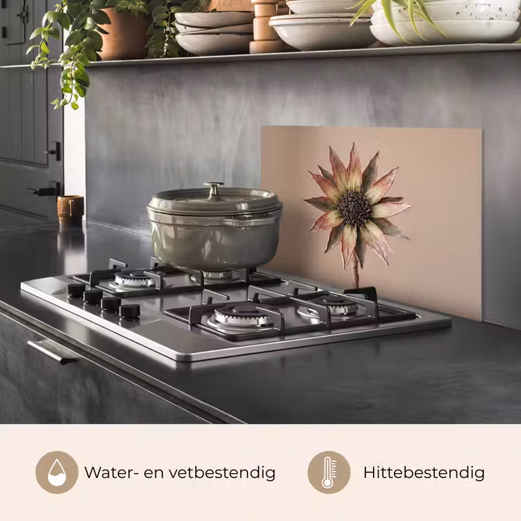 Spatscherm keuken - Droogbloem - Protea - Vintage - Beige - Rustiek — 7