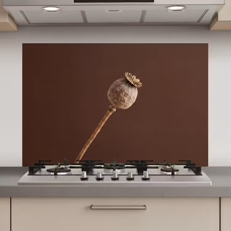 Spatscherm keuken - Papaverbol - Droogbloem - Bruin - Minimalistisch — 1