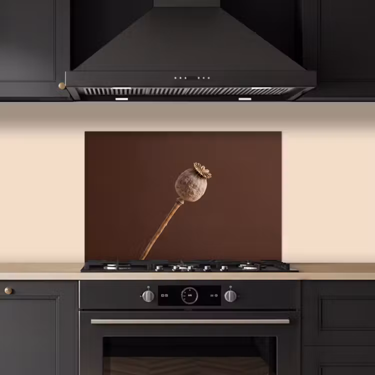 Spatscherm keuken - Papaverbol - Droogbloem - Bruin - Minimalistisch — 2