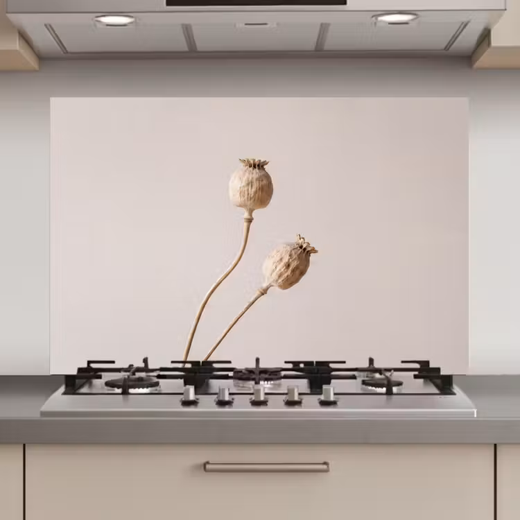 Spatscherm keuken - Papaverbollen - Droogbloemen - Minimalistisch - Beige - Rustig — 1