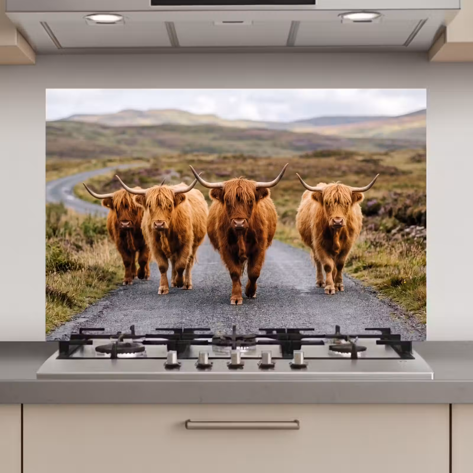 Spatscherm keuken - Schotse Hooglanders - Weg - Landschap - Kudde — 1