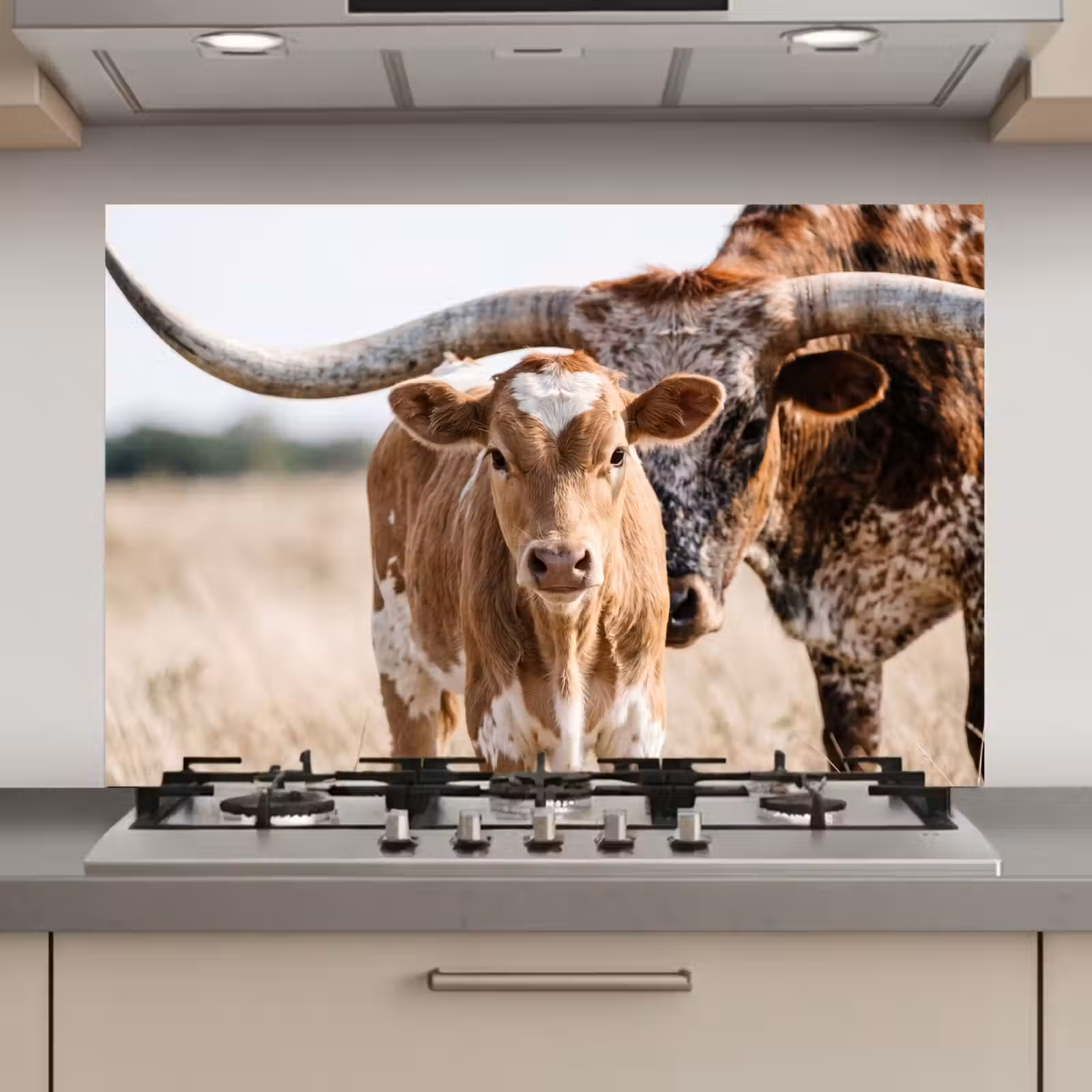 Spatscherm keuken - Texas Longhorn - Kalf - Weide - Dieren — 1