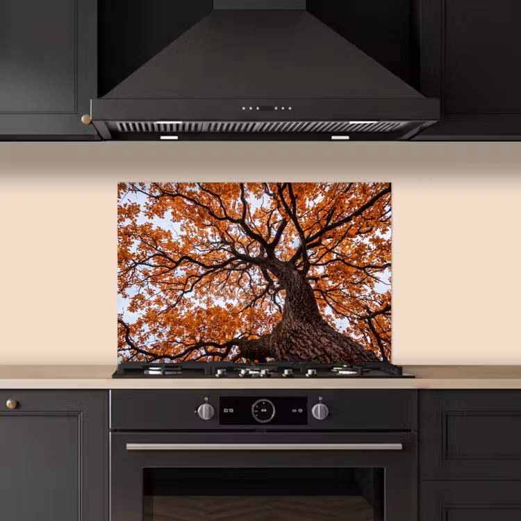 Spatscherm keuken - Boom - Bladerdak - Herfst - Oranje - Sfeervol — 2