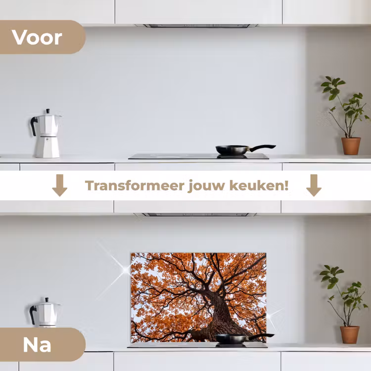 Spatscherm keuken - Boom - Bladerdak - Herfst - Oranje - Sfeervol — 3