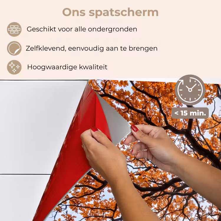 Spatscherm keuken - Boom - Bladerdak - Herfst - Oranje - Sfeervol — 4