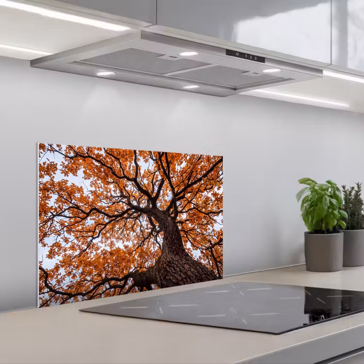Spatscherm keuken - Boom - Bladerdak - Herfst - Oranje - Sfeervol — 5