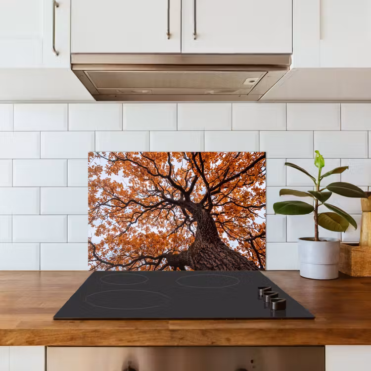 Spatscherm keuken - Boom - Bladerdak - Herfst - Oranje - Sfeervol — 6