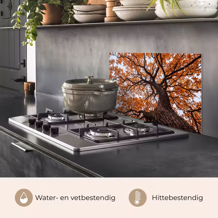 Spatscherm keuken - Boom - Bladerdak - Herfst - Oranje - Sfeervol — 7