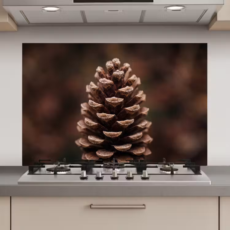Spatscherm keuken - Dennenappel - Bos - Herfst - Bruin - Sfeervol — 1