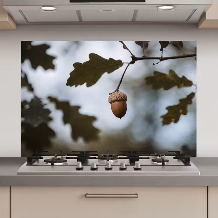 Spatscherm keuken - Eikel - Eikenblad - Bos - Herfst - Natuur — 1