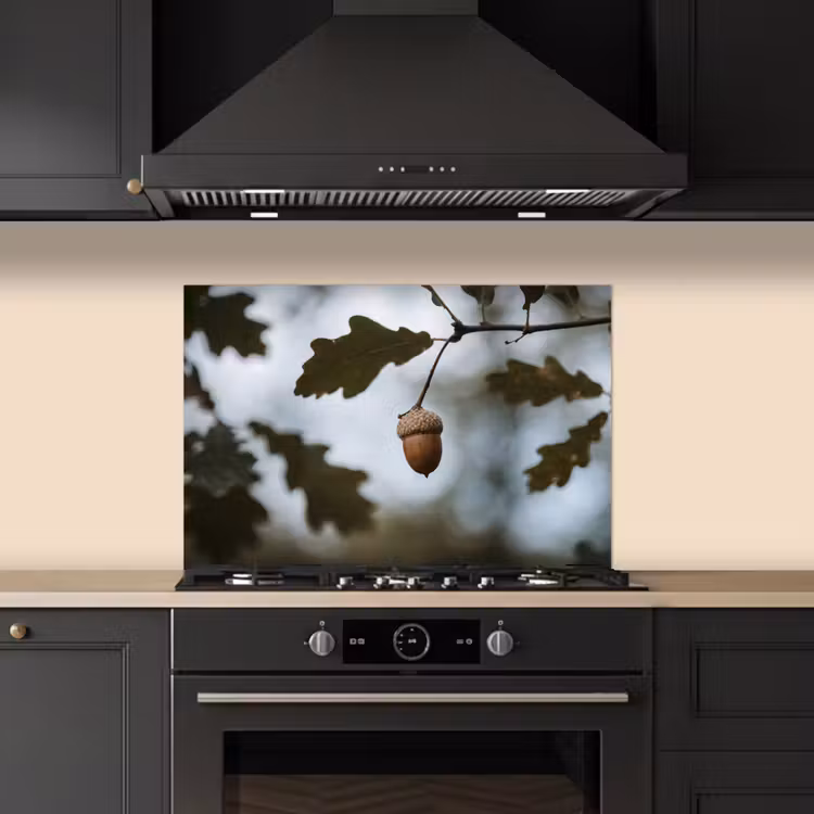 Spatscherm keuken - Eikel - Eikenblad - Bos - Herfst - Natuur — 2