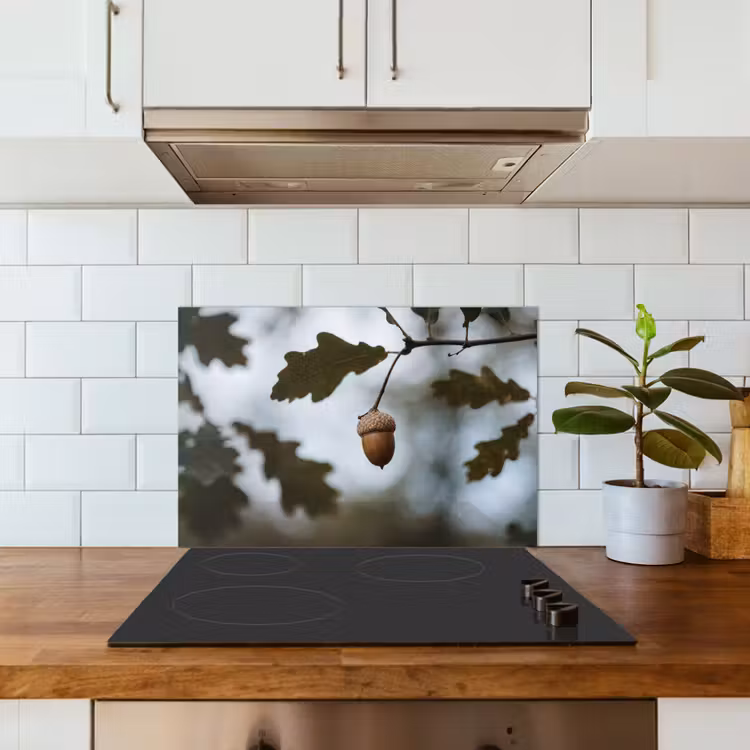 Spatscherm keuken - Eikel - Eikenblad - Bos - Herfst - Natuur — 6