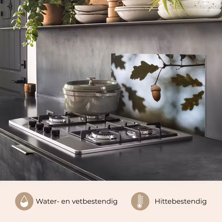 Spatscherm keuken - Eikel - Eikenblad - Bos - Herfst - Natuur — 7