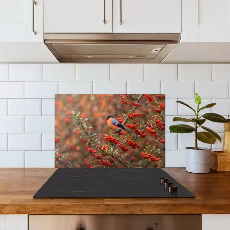 Spatscherm keuken - Goudvink - Bessen - Herfst - Natuur - Kleurrijk — 6
