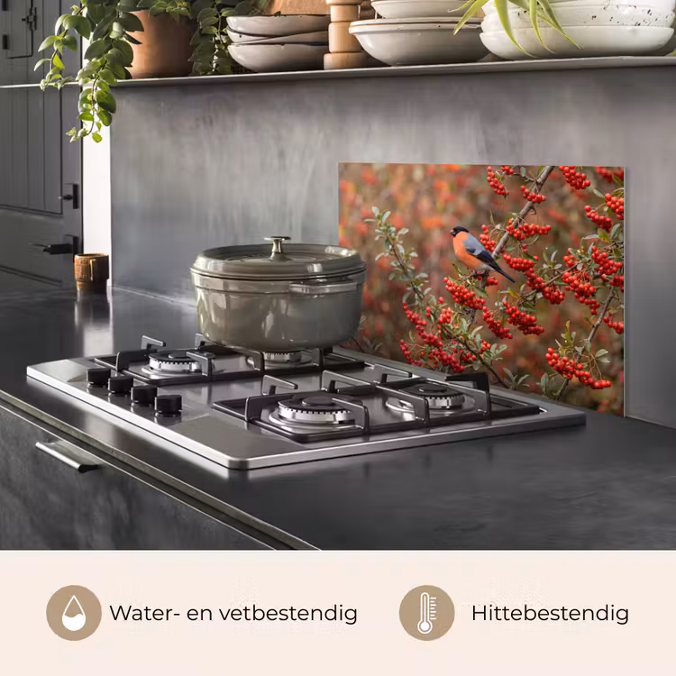 Spatscherm keuken - Goudvink - Bessen - Herfst - Natuur - Kleurrijk — 7