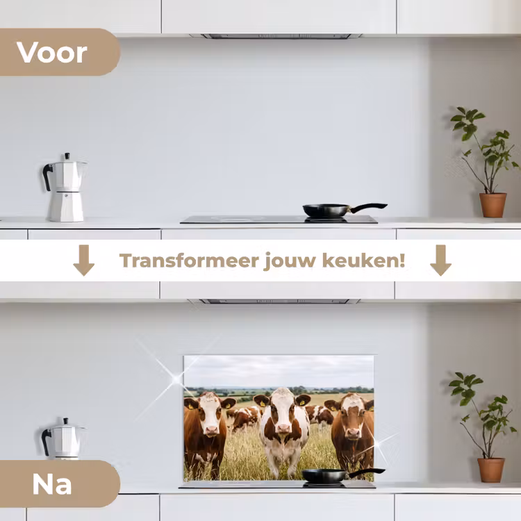Spatscherm keuken - Koeien - Portret - Weide - Boerderij - Nieuwsgierig — 3