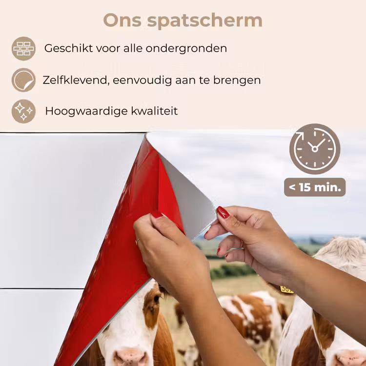 Spatscherm keuken - Koeien - Portret - Weide - Boerderij - Nieuwsgierig — 4