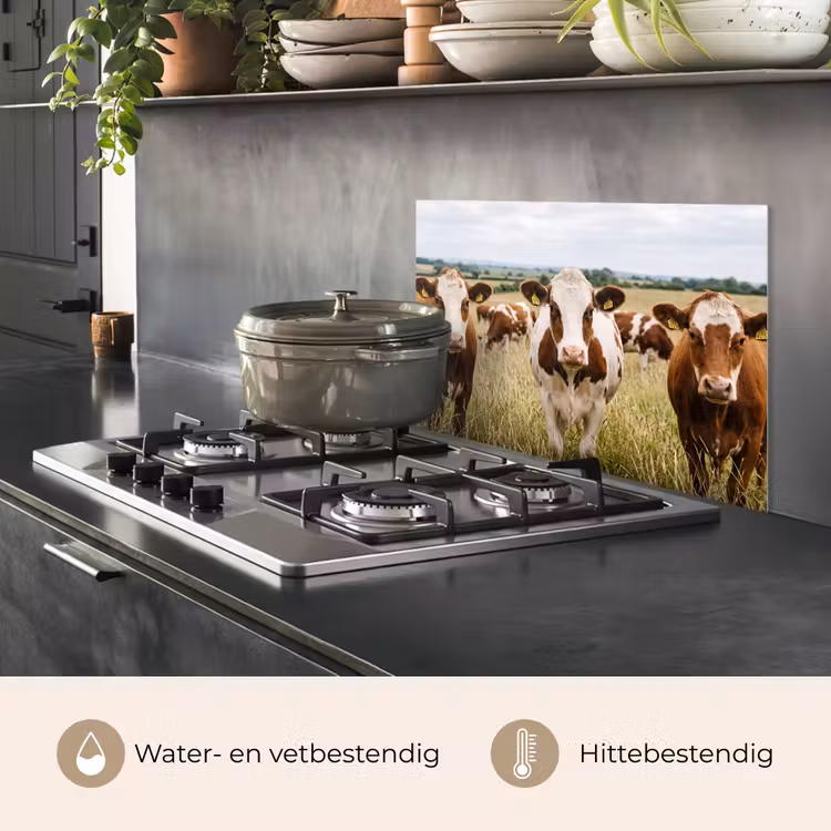 Spatscherm keuken - Koeien - Portret - Weide - Boerderij - Nieuwsgierig — 7