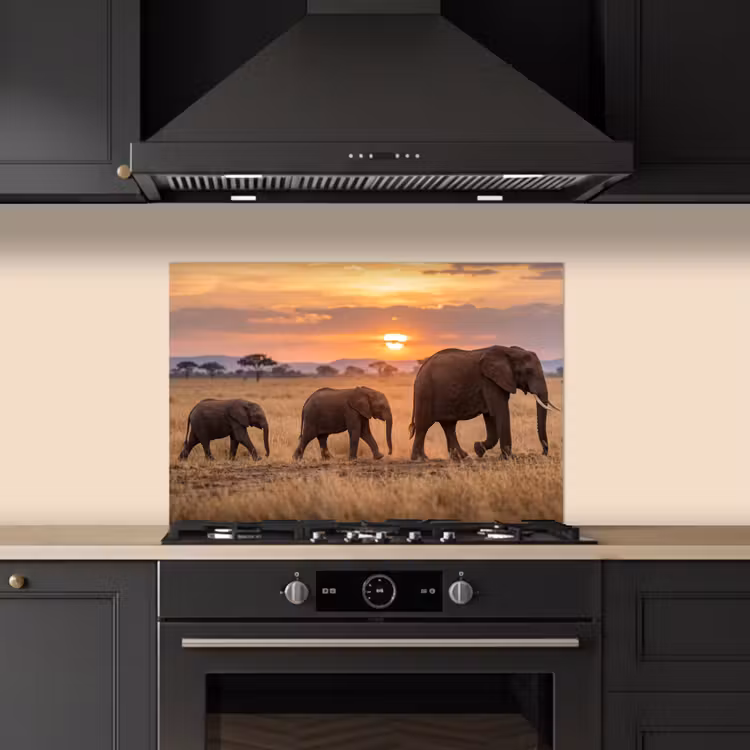 Spatscherm keuken - Olifanten - Savanne - Zonsondergang - Afrika - Warm — 2