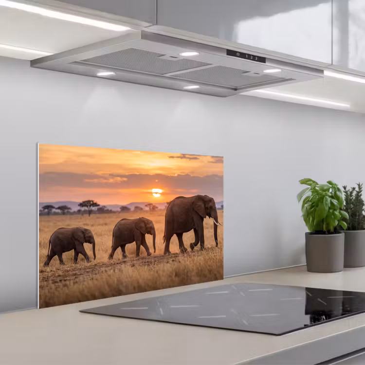 Spatscherm keuken - Olifanten - Savanne - Zonsondergang - Afrika - Warm — 5