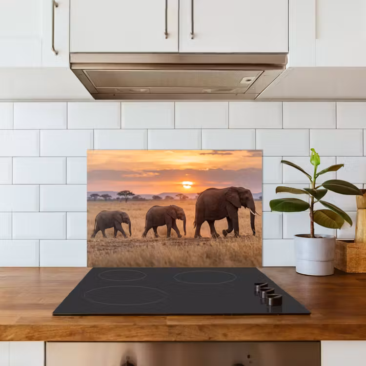 Spatscherm keuken - Olifanten - Savanne - Zonsondergang - Afrika - Warm — 6