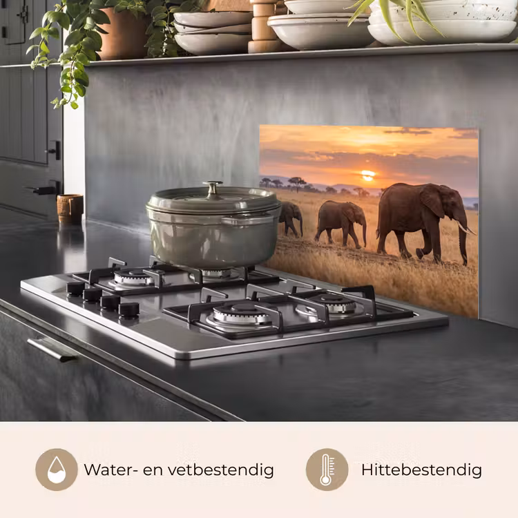 Spatscherm keuken - Olifanten - Savanne - Zonsondergang - Afrika - Warm — 7