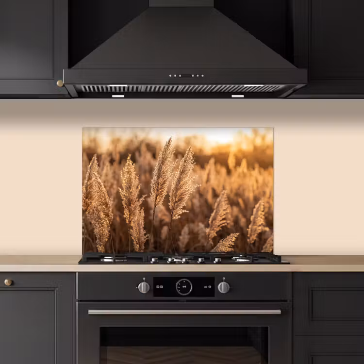 Spatscherm keuken - Rietpluimen - Gras - Zonsondergang - Goud - Serene — 2